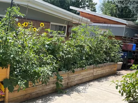 6175 Dover St, Arvada, CO 80004 photo 30