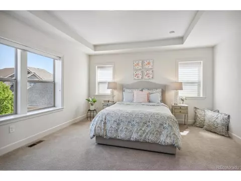 9005 E 58th Dr, Denver, CO 80238 photo 21