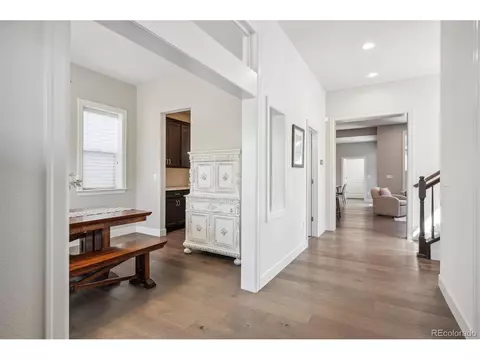 9005 E 58th Dr, Denver, CO 80238 photo 3