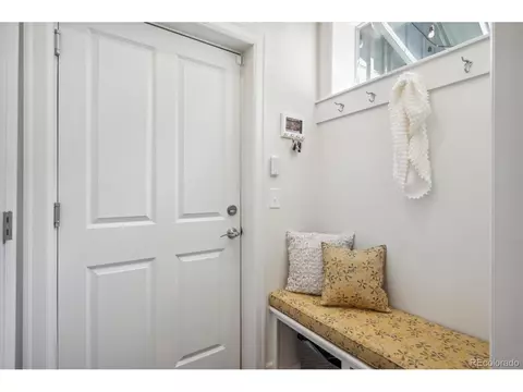 9005 E 58th Dr, Denver, CO 80238 photo 19