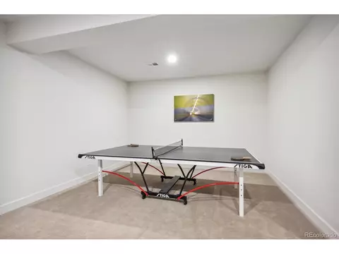 9005 E 58th Dr, Denver, CO 80238 photo 33