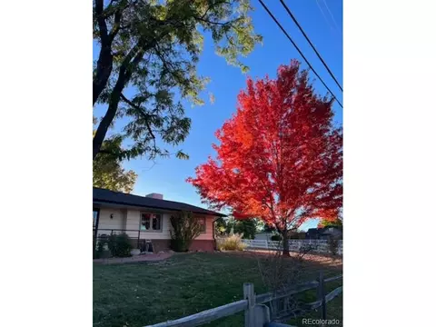 6550 Garrison St, Arvada, CO 80004 photo 5