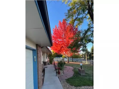 6550 Garrison St, Arvada, CO 80004 photo 40