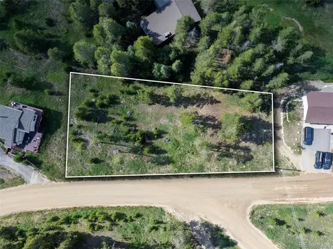 593 Balsh Blvd, Fraser, CO 80442 photo 9