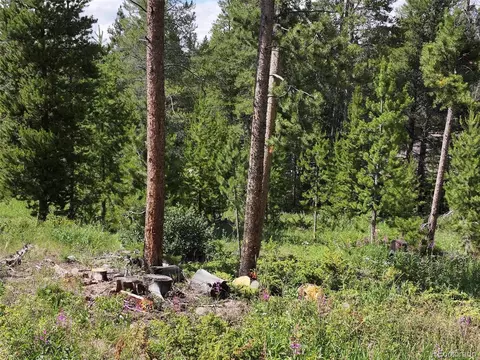 593 Balsh Blvd, Fraser, CO 80442 photo 8