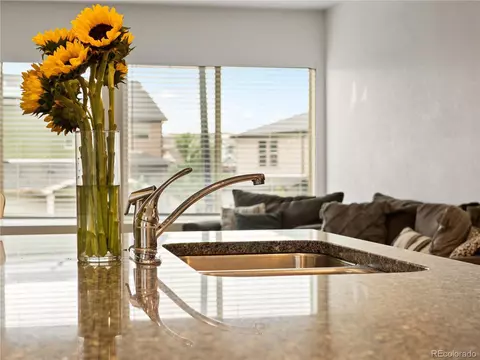 19180 E 55th Ave, Denver, CO 80249 photo 8