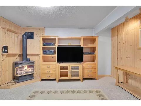 31257 Chambers Ln, Conifer, CO 80433 photo 26