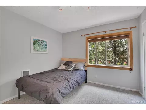 31257 Chambers Ln, Conifer, CO 80433 photo 20