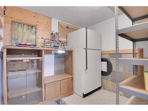 31257 Chambers Ln, Conifer, CO 80433 photo 31