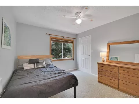 31257 Chambers Ln, Conifer, CO 80433 photo 19