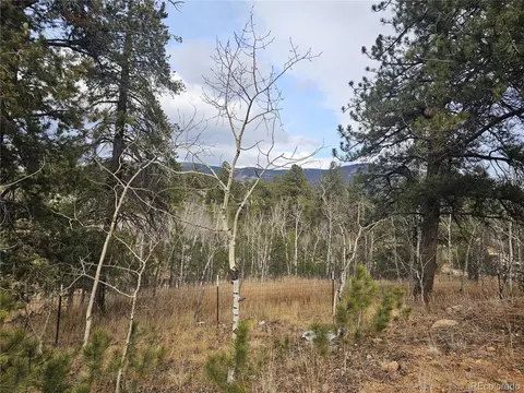 Other - 426 Houston St, Bailey, CO 80421 photo 4 of 13