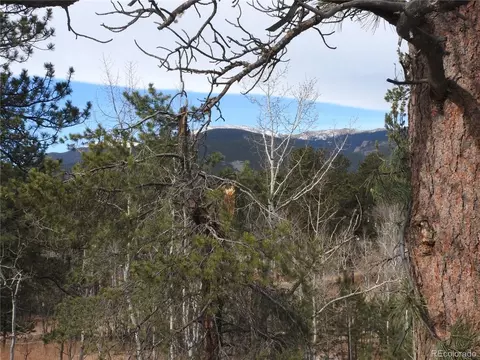 Other - 426 Houston St, Bailey, CO 80421 photo 8 of 13