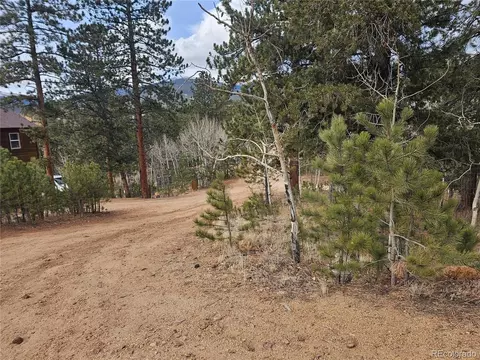 Other - 426 Houston St, Bailey, CO 80421 photo 1 of 13
