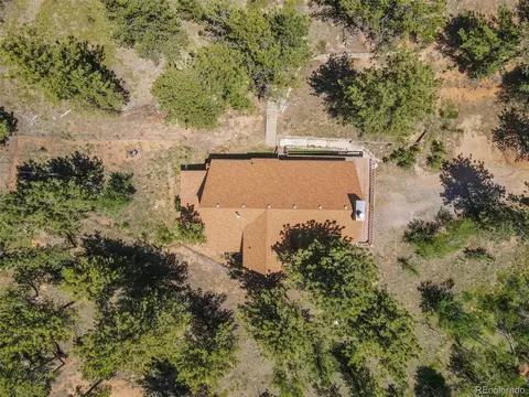 141 Tall Timber Ln, Bailey, CO 80421 photo 4