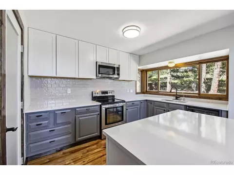 141 Tall Timber Ln, Bailey, CO 80421 photo 18