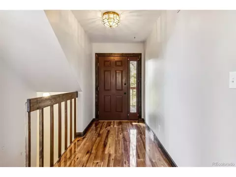 141 Tall Timber Ln, Bailey, CO 80421 photo 31
