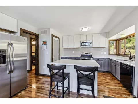 141 Tall Timber Ln, Bailey, CO 80421 photo 15
