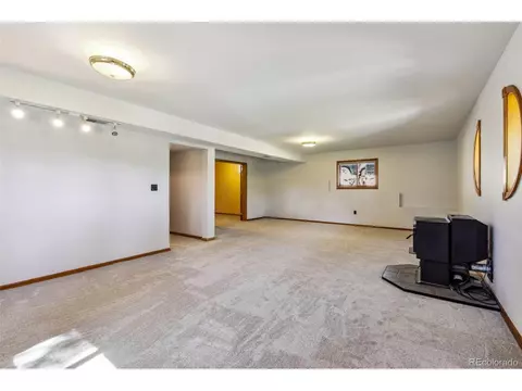 141 Tall Timber Ln, Bailey, CO 80421 photo 35