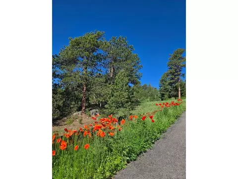 677 Sky Trail Rd, Boulder, CO 80302 photo 40