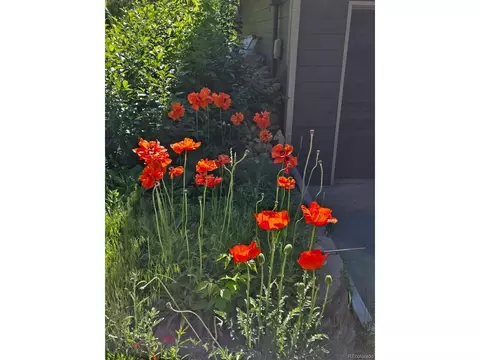 677 Sky Trail Rd, Boulder, CO 80302 photo 39