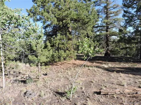 1114 Crooked Rock Path, Como, CO 80432 photo 21