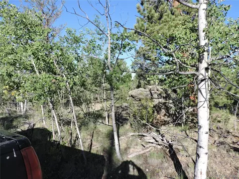 1114 Crooked Rock Path, Como, CO 80432 photo 20