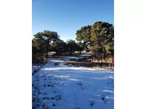 135 Cedar Ridge Rd, Mosca, CO 81146 photo 1