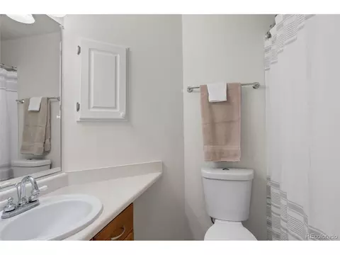 1060 E 131st Dr, Thornton, CO 80241 photo 27