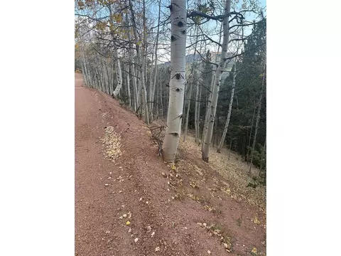 287 Horseshoe Dr, Divide, CO 80814 photo 3