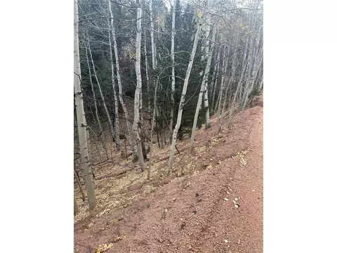 287 Horseshoe Dr, Divide, CO 80814 photo 5