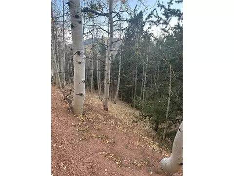 287 Horseshoe Dr, Divide, CO 80814 photo 2