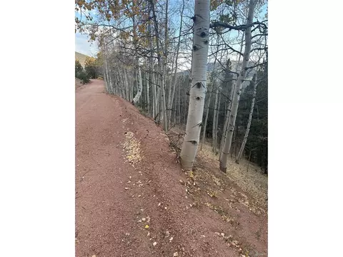 287 Horseshoe Dr, Divide, CO 80814