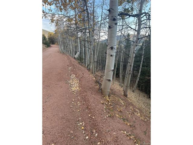287 Horseshoe Dr, Divide, CO 80814