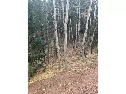 287 Horseshoe Dr, Divide, CO 80814 photo 4