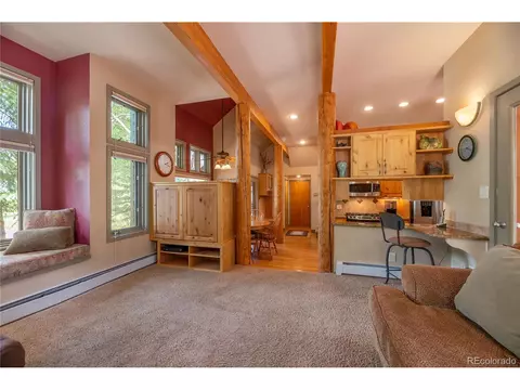 11 Glen Pl, Silverthorne, CO 80498 photo 10