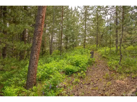 11 Glen Pl, Silverthorne, CO 80498 photo 30