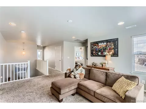 8825 Peakview Ave, Firestone, CO 80504 photo 32
