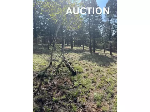 330 Waldon Lake Cir, Divide, CO 80814