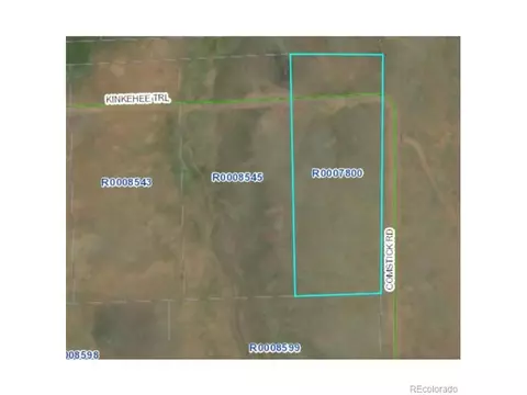 4944 Kinkehee Trl, Hartsel, CO 80449