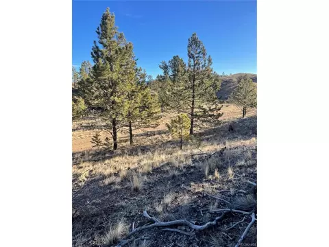 0 Tarryall Rd, Hartsel, CO 80449