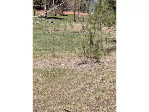 Undisclosed, Woodland Park, CO 80863