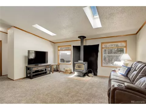 2325 County Road 43, Bailey, CO 80421 photo 8