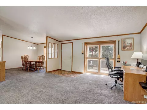 2325 County Road 43, Bailey, CO 80421 photo 12