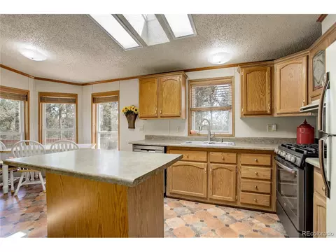 2325 County Road 43, Bailey, CO 80421 photo 14