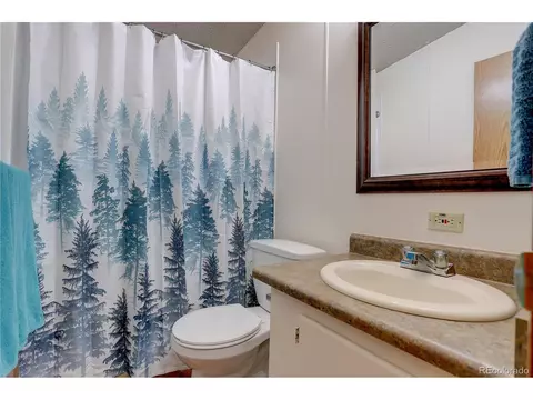 2325 County Road 43, Bailey, CO 80421 photo 19