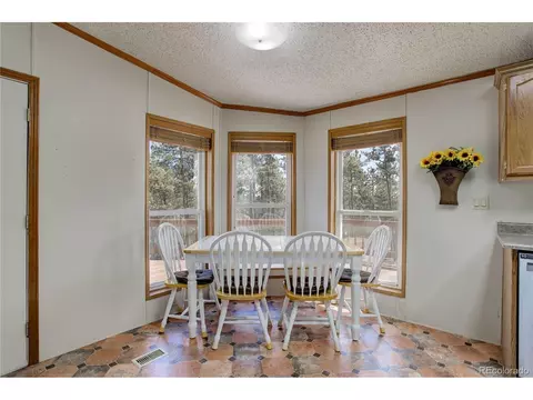 2325 County Road 43, Bailey, CO 80421 photo 15