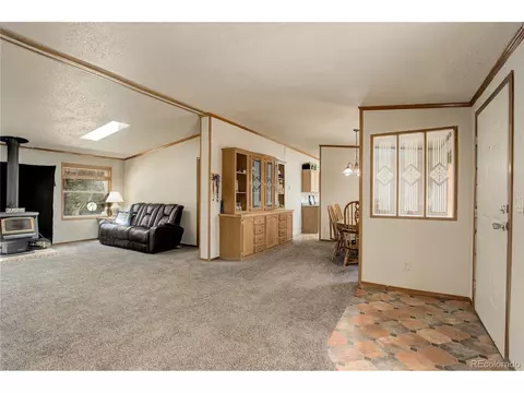 2325 County Road 43, Bailey, CO 80421 photo 7
