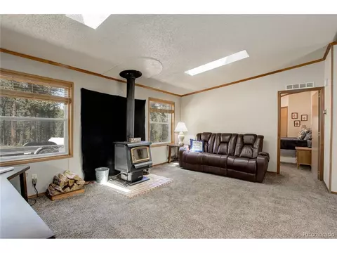 2325 County Road 43, Bailey, CO 80421 photo 9