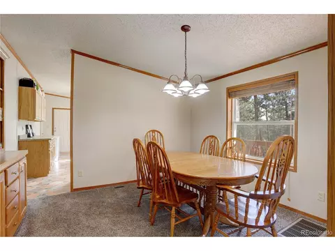 2325 County Road 43, Bailey, CO 80421 photo 13