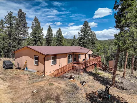 2325 County Road 43, Bailey, CO 80421 photo 2